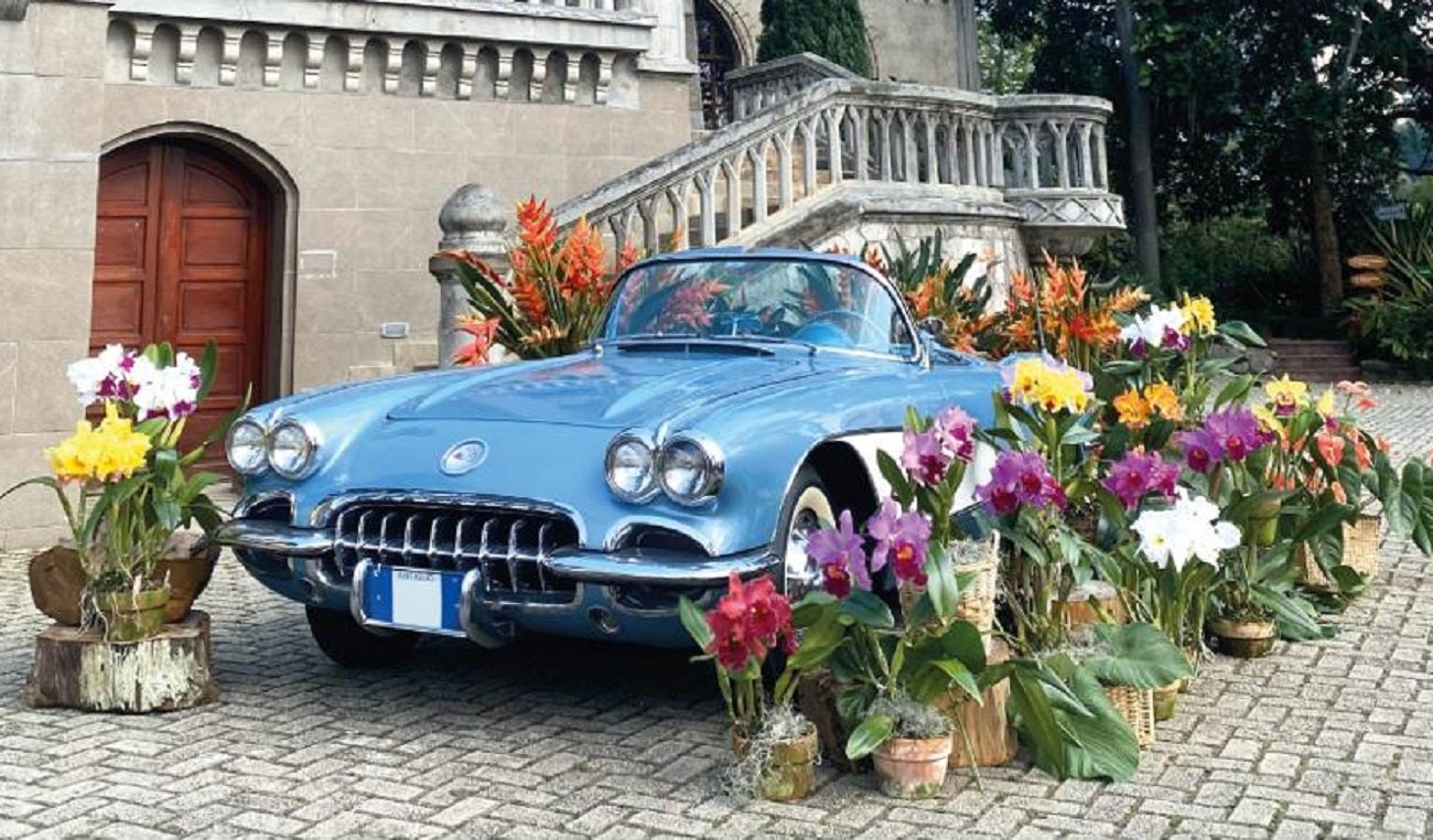 “Orquídeas y Autos Antiguos” en el Museo El Castillo
