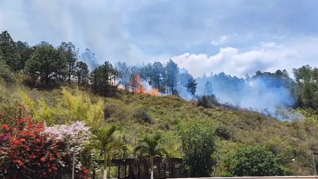 Impresionante hallazgo en Bello: Bomberos encontraron restos óseos luego de controlar un incendio vegetal