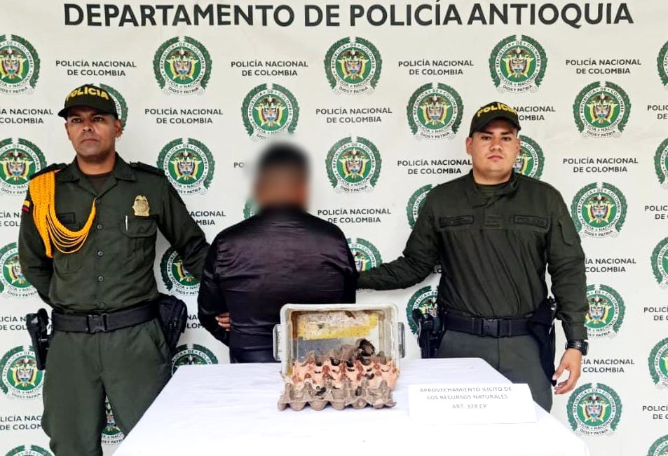 Capturado a supuesto culebrero traficante de veneno de alacrán en El Santuario, Antioquia