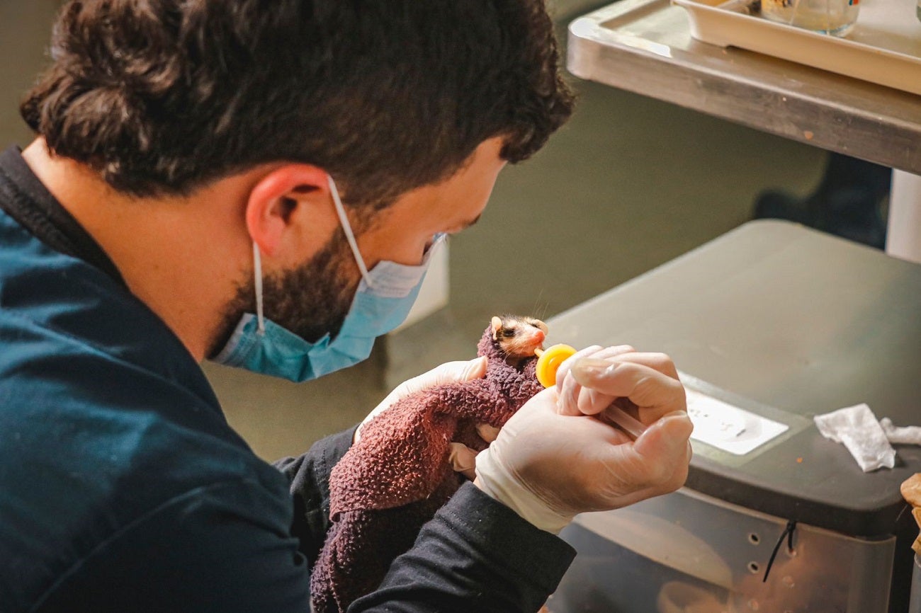 Zonas boscosas en el Valle de Aburrá