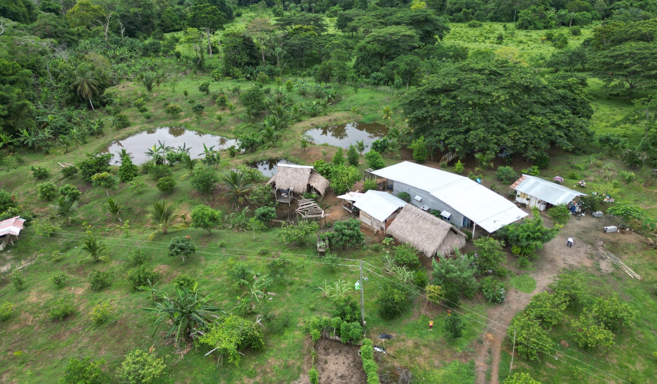Finca La Atoyosa, Necoclí (Antioquia)