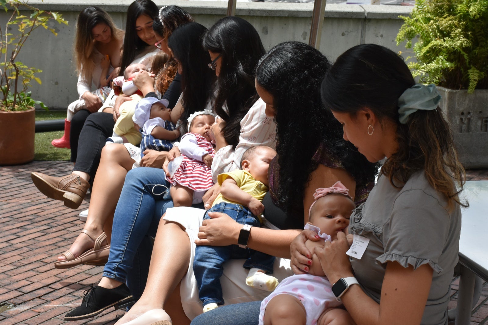 Banco de leche materna