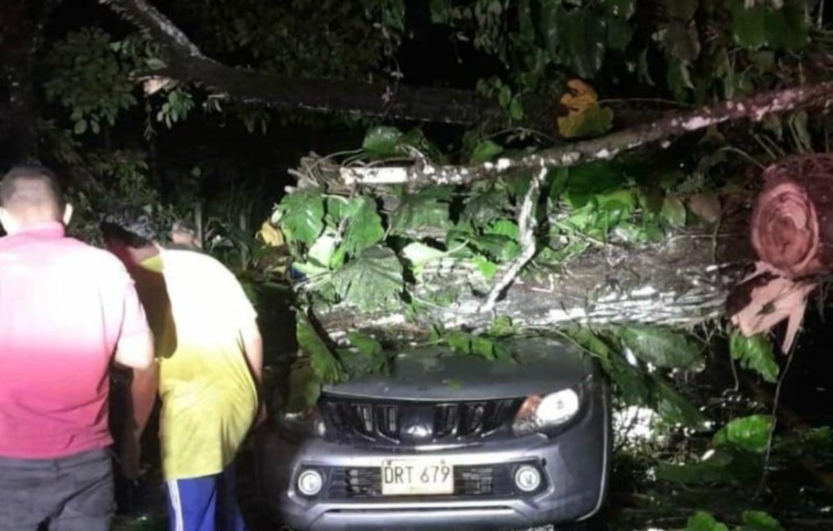 Caída de árbol en la vía Urabá-Medellín junio 28 2024