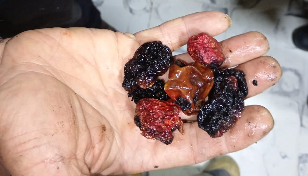 Intoxicación masiva en Rionegro por el humo de un picante