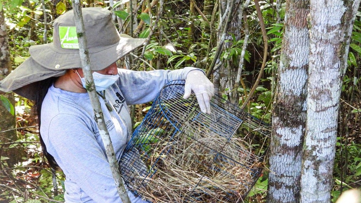 Liberación fauna silvestre en Antioquia