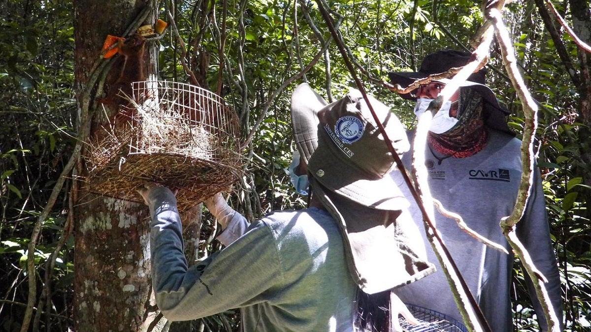 Liberación fauna silvestre en Antioquia