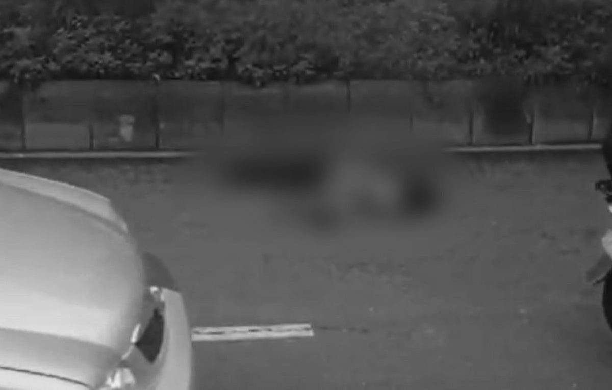 Peatón arrollado en Medellín Junio 14 2024