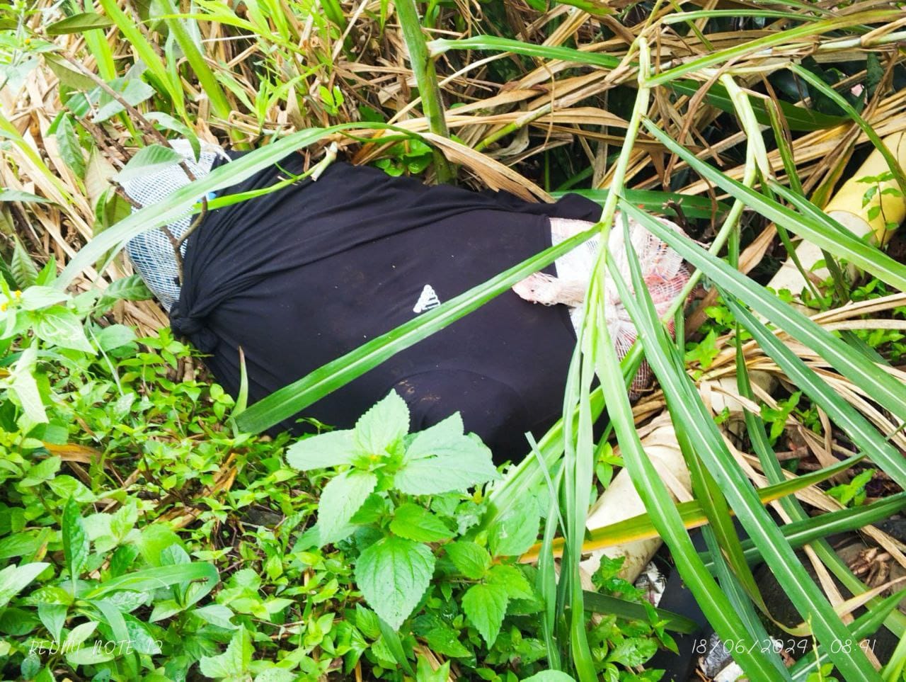 Cuerpo desmembrado en Medellín Junio 18 de 2024