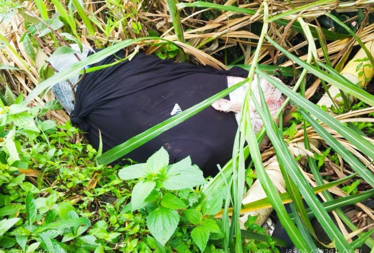 Joven desmembrado en Manrique 27 junio 2024