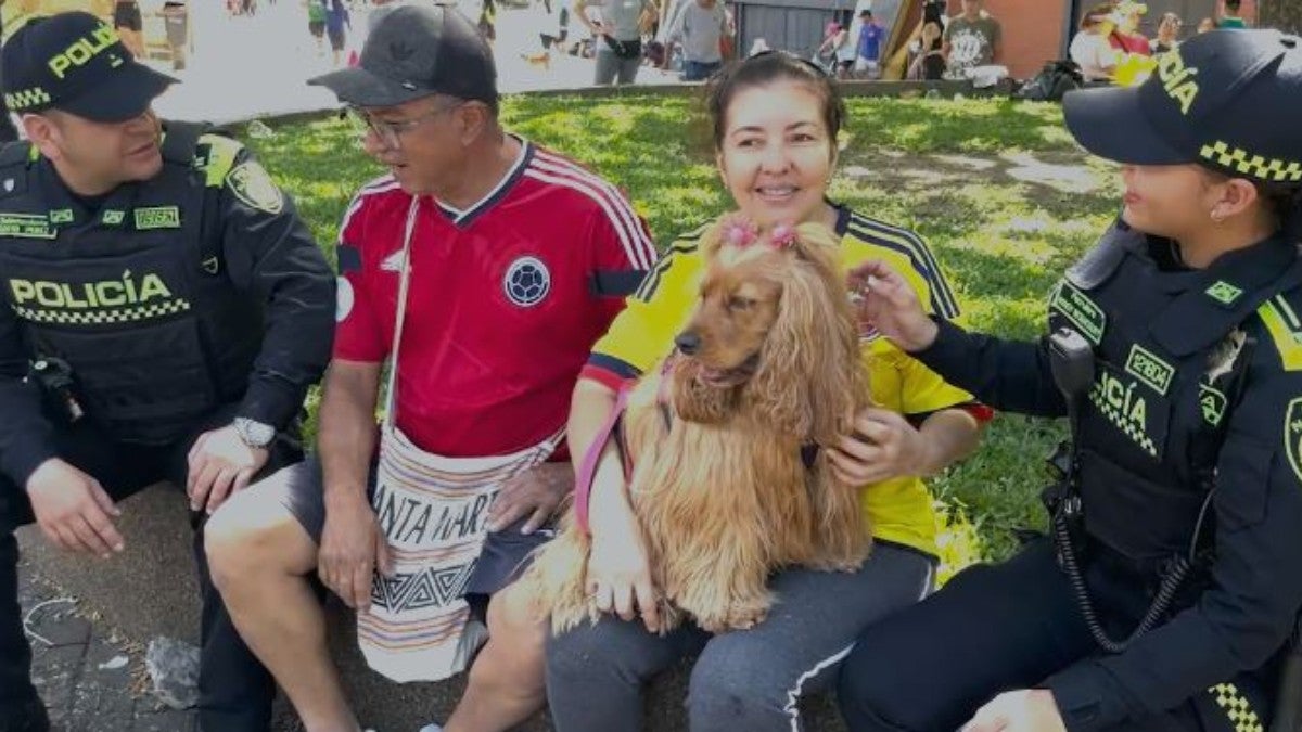 Operativos de control en la final de la Copa América