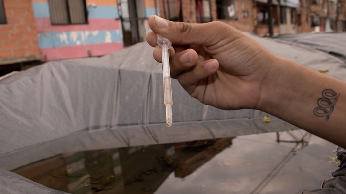 Estrategias para erradicar el dengue en Itagüí