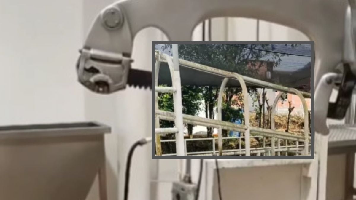 Matadero en el municipio de San Carlos, Antioquia