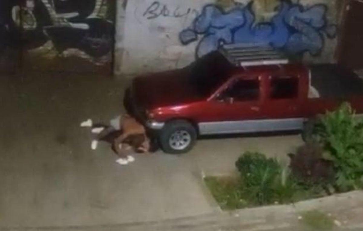 Golpeó brutalmente a la mamá de su hija porque le pidió la cuota alimentaria, en Medellín