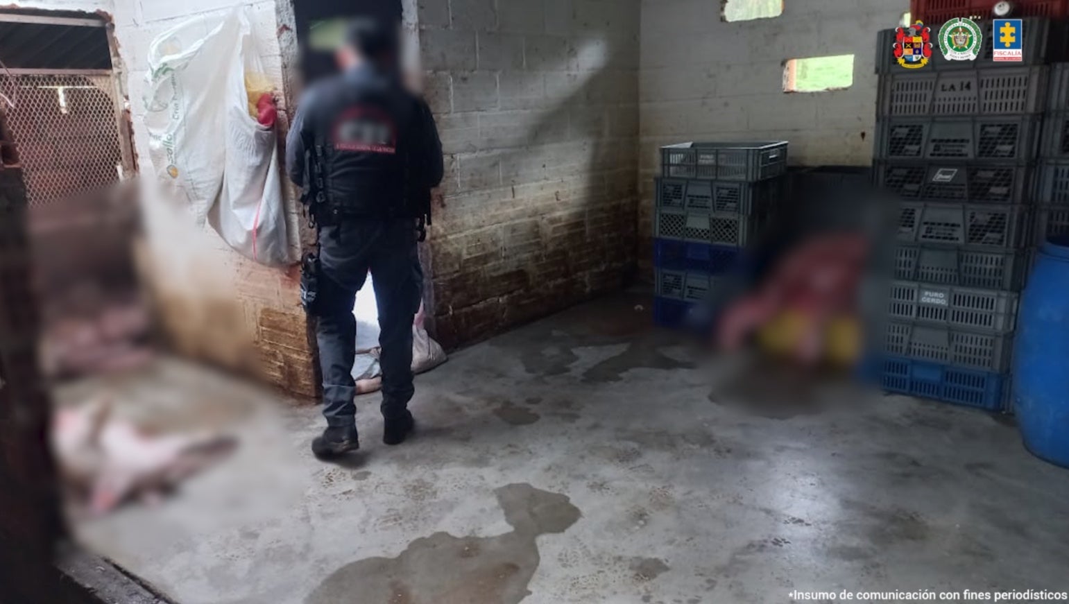 Fiscalía imputó a hombre capturado en un matadero clandestino en Santa Rosa: 7 toneladas de carne en mal estado