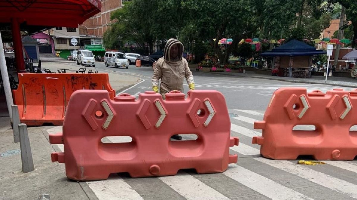 Ataque de abejas Antioquia - 2024