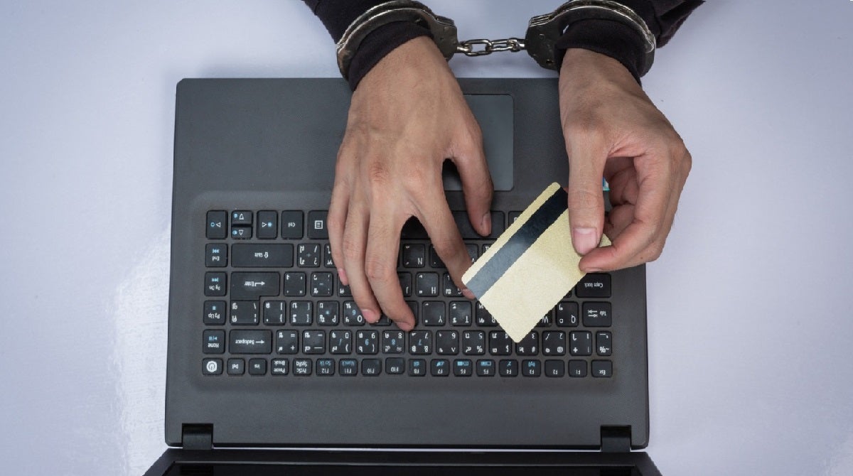 delitos informaticos referencia 2024