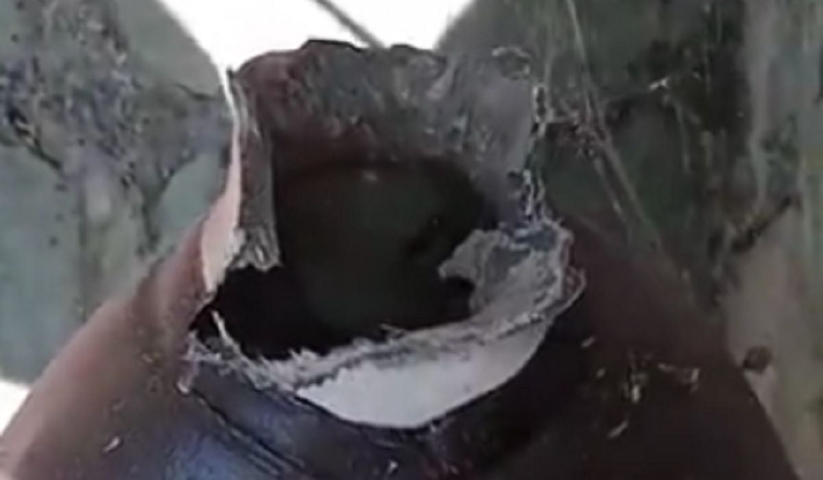 Figuras vandalizadas - 2024 - Angostura