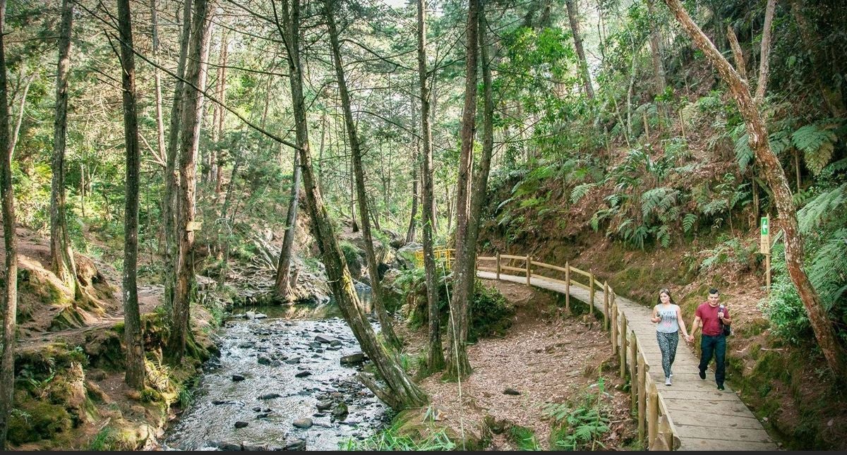 Santa Elena -Antioquia- 2024