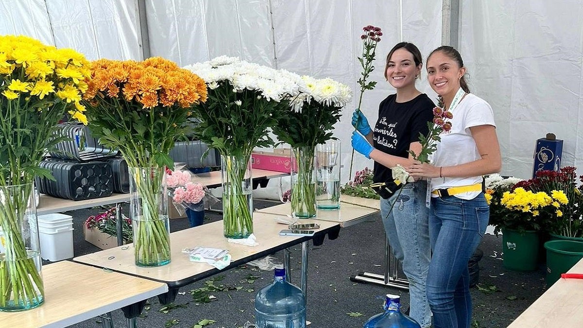 Floricultores en Antioquia aseguran que el paro transportador los lleva a tener menos personas laborando, lo que pondría en riesgo el cuidado de los cultivos