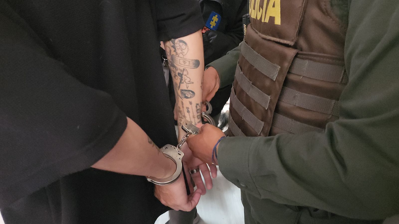 Joven tenía una serpiente constrictora, un pez globo disecado y una cabeza de babilla en su apartamento: Lo capturaron en Sabaneta