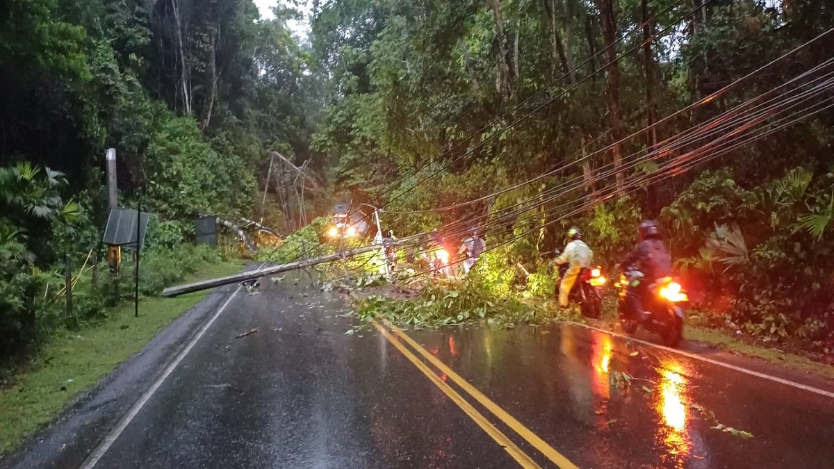 Por perdida de banca y caída de árboles amaneció cerrada la autopista Medellín-Bogotá entre el municipio de San Luis y Río Claro