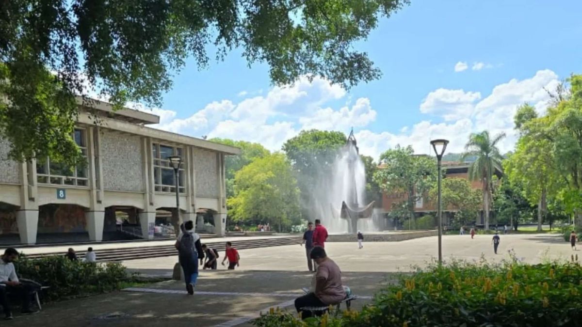 Universidad de Antioquia