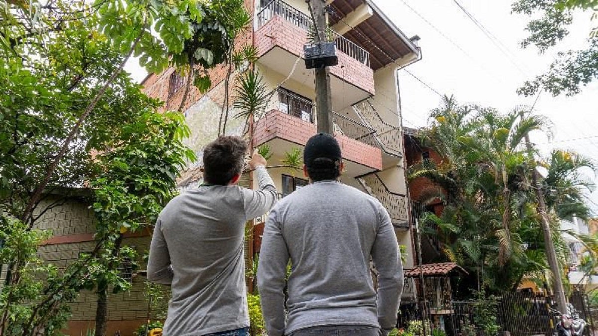 Cajones para enjambres de abejas en Medellín