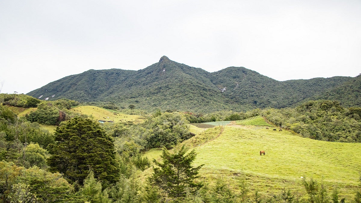 Cerro Las Palomas de Sonsón
