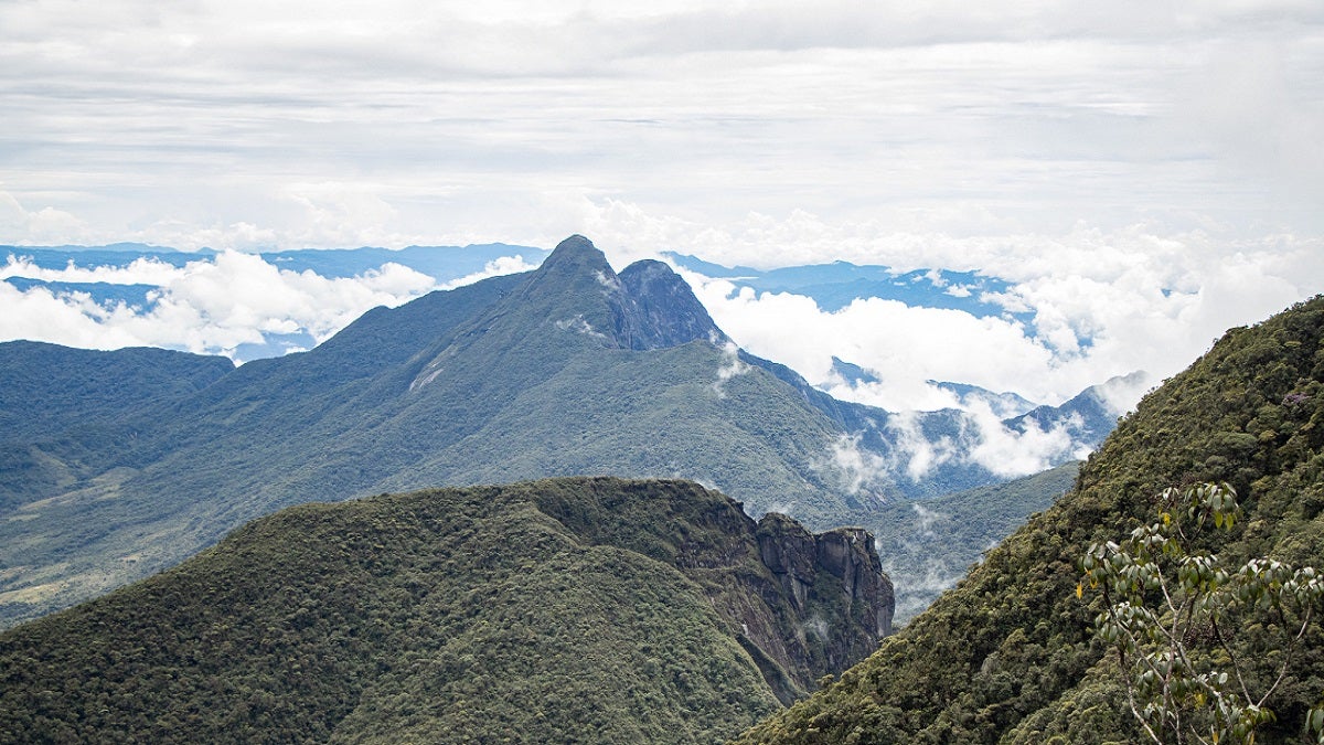 Cerro Las Palomas de Sonsón
