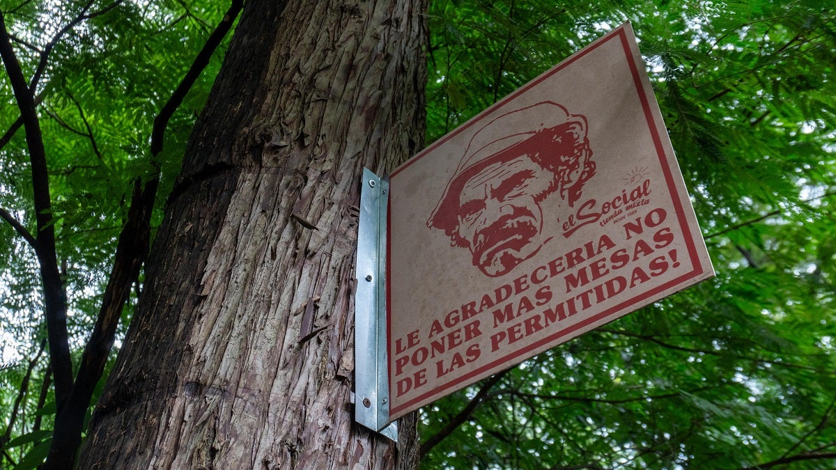 Comerciantes de Provenza se comprometen con el cuidado de los árboles del sector