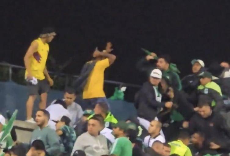 Pelea en el Estadio Atanasio Girardot