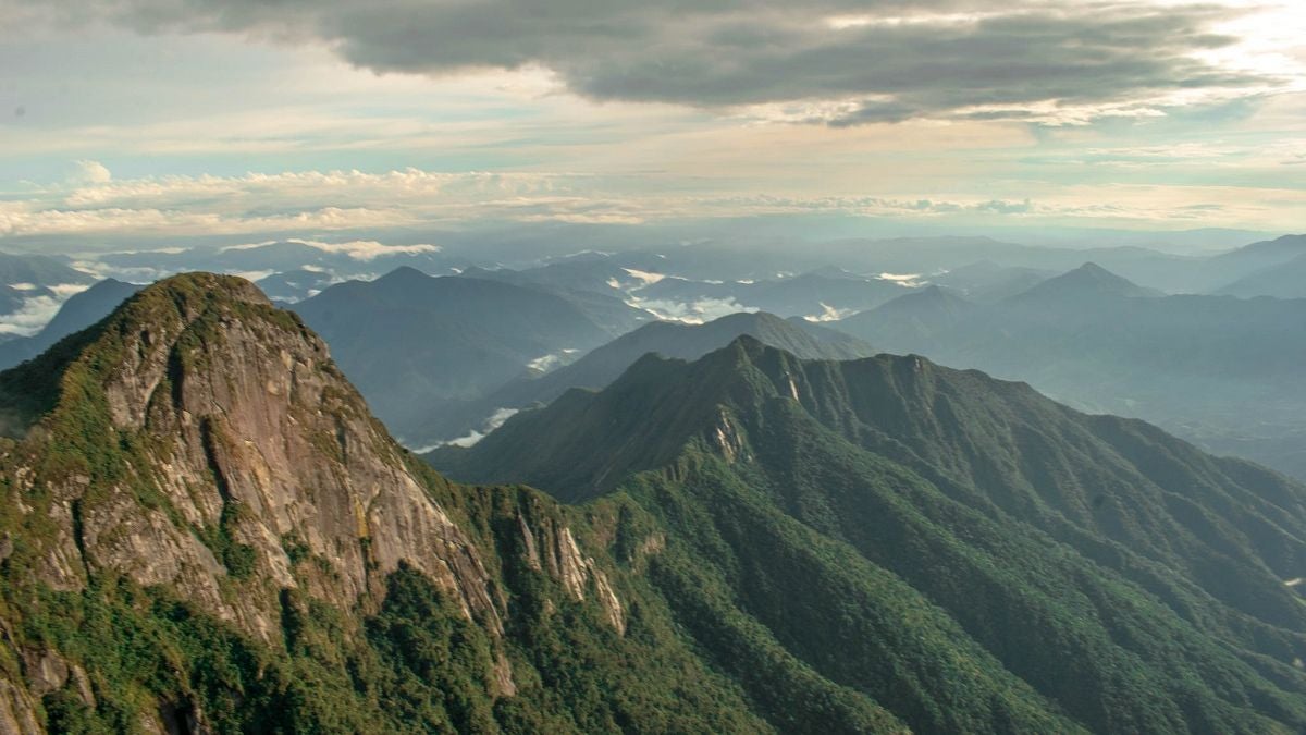 Paramo Las Palomas 2024