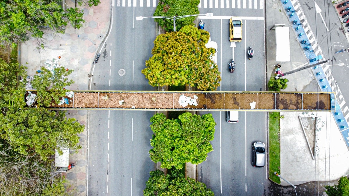 Tres peatonales en desuso serán pasos de fauna silvestre en Medellín