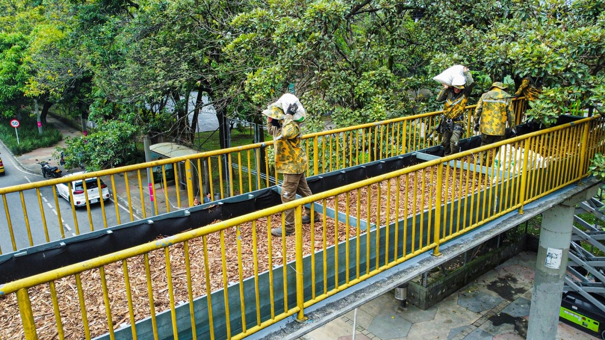 Tres peatonales en desuso serán pasos de fauna silvestre en Medellín