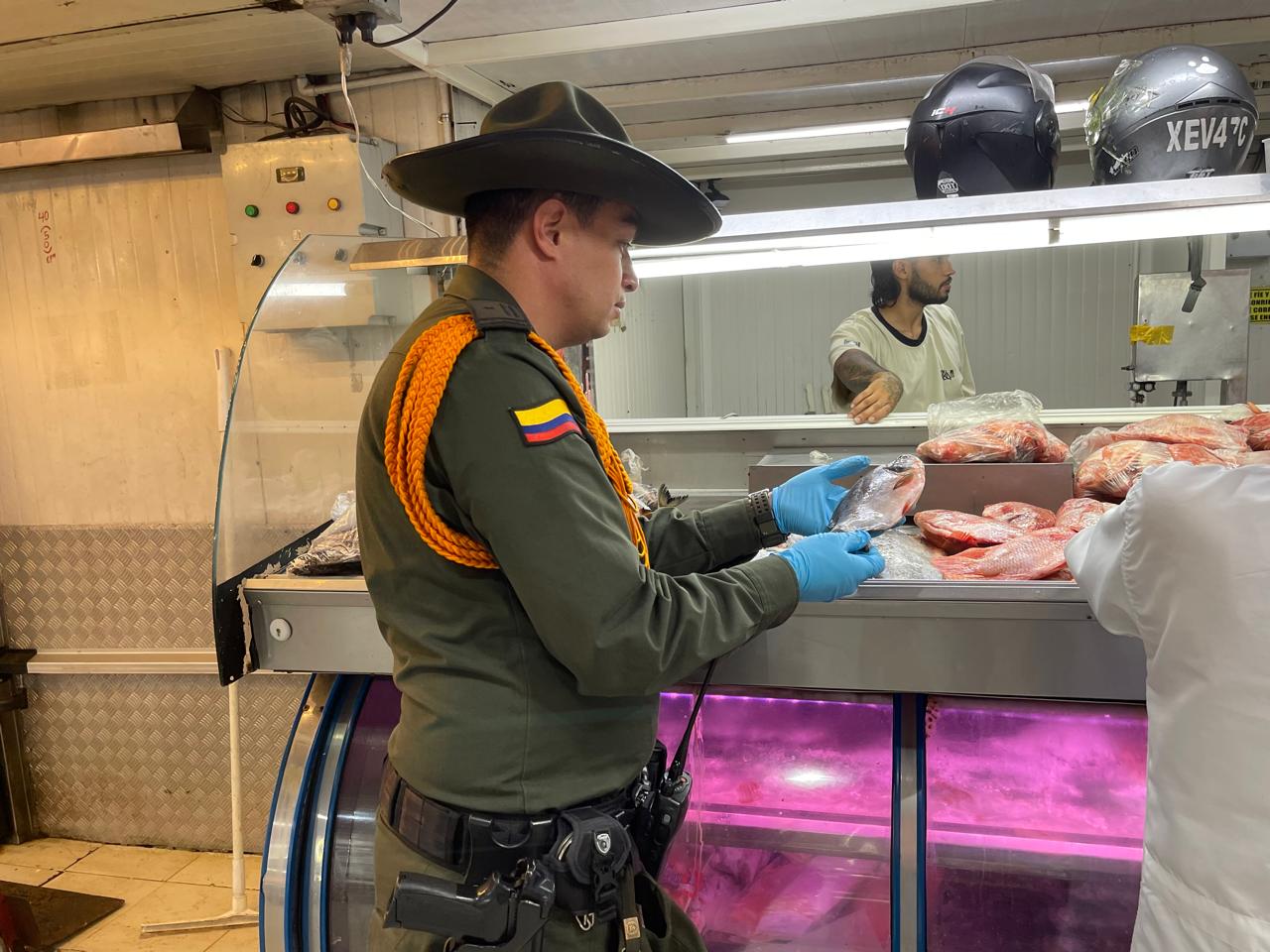 ¡Pescado ilegal! Autoridades decomisan 7 toneladas de tilapia por valor de $82 millones en Medellín