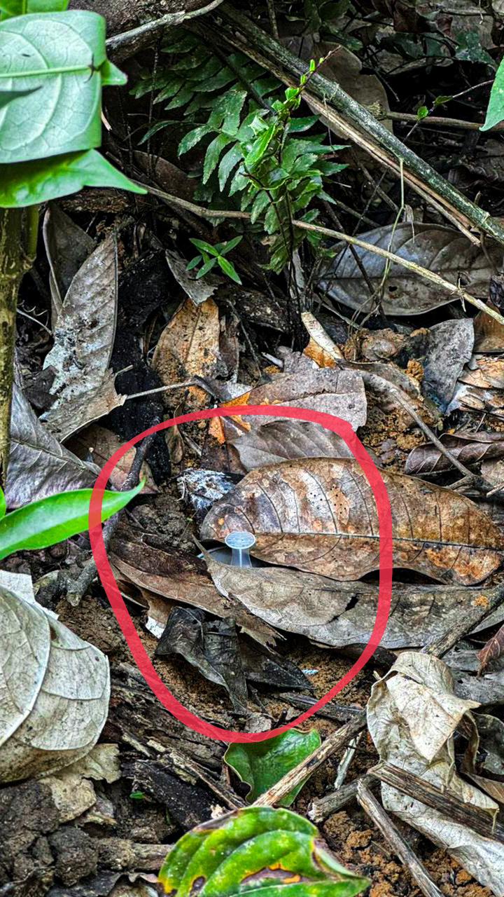 [FOTOS] Ejército neutralizó tres minas antipersonales en zona de alta tensión de Segovia, Antioquia