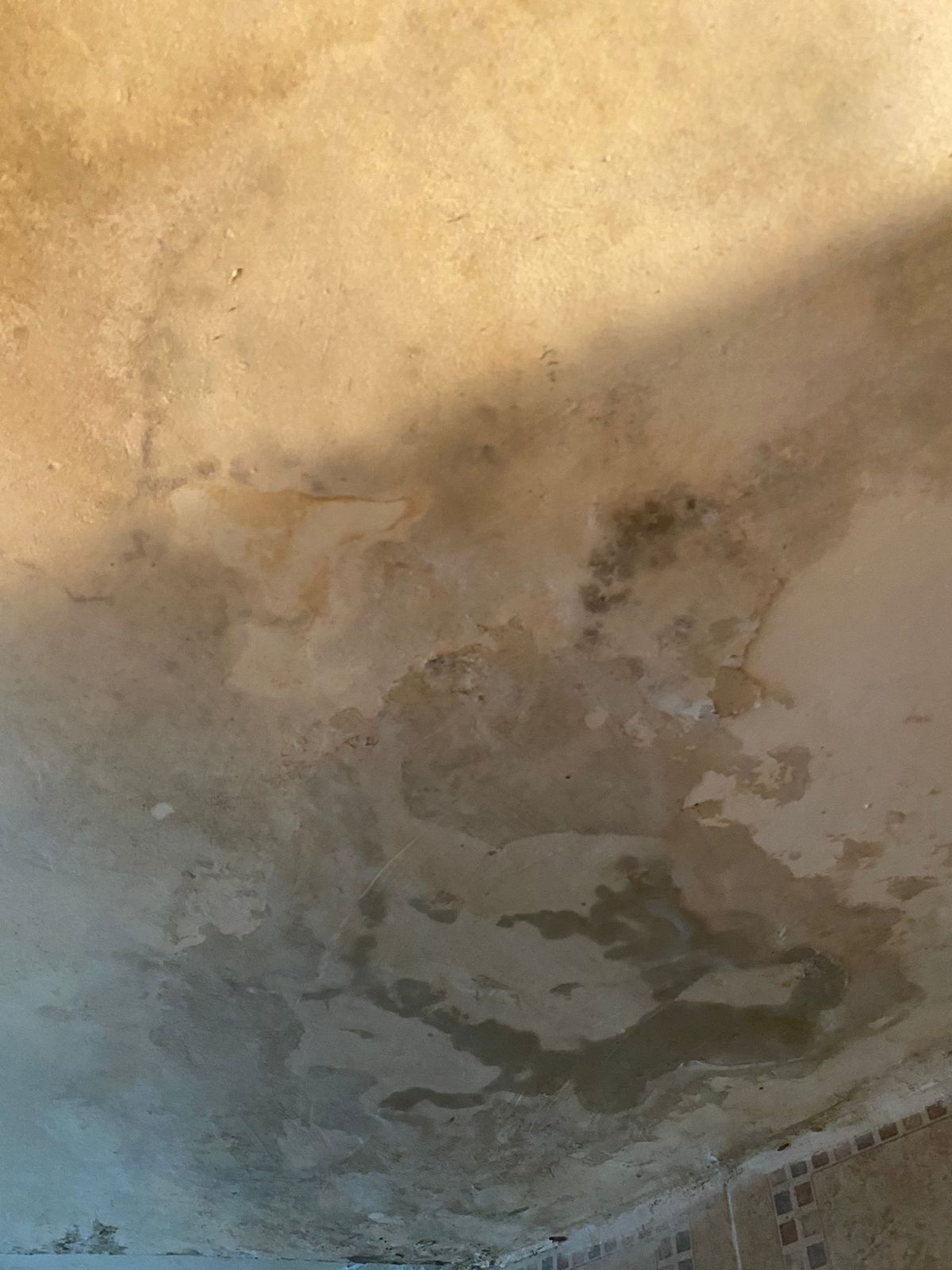 [FOTOS] La Casa de Luz Stella está “sumergida por el agua”: nueve años de lucha en Medellín