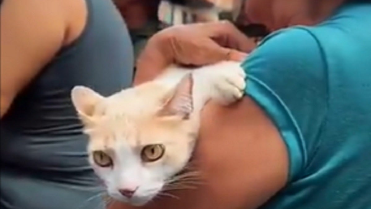 Atención de animales afectados por inundaciones en Santa Cruz