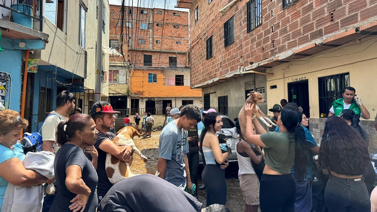 Mascotas afectadas por emergencia en Santa Cruz, Medellín