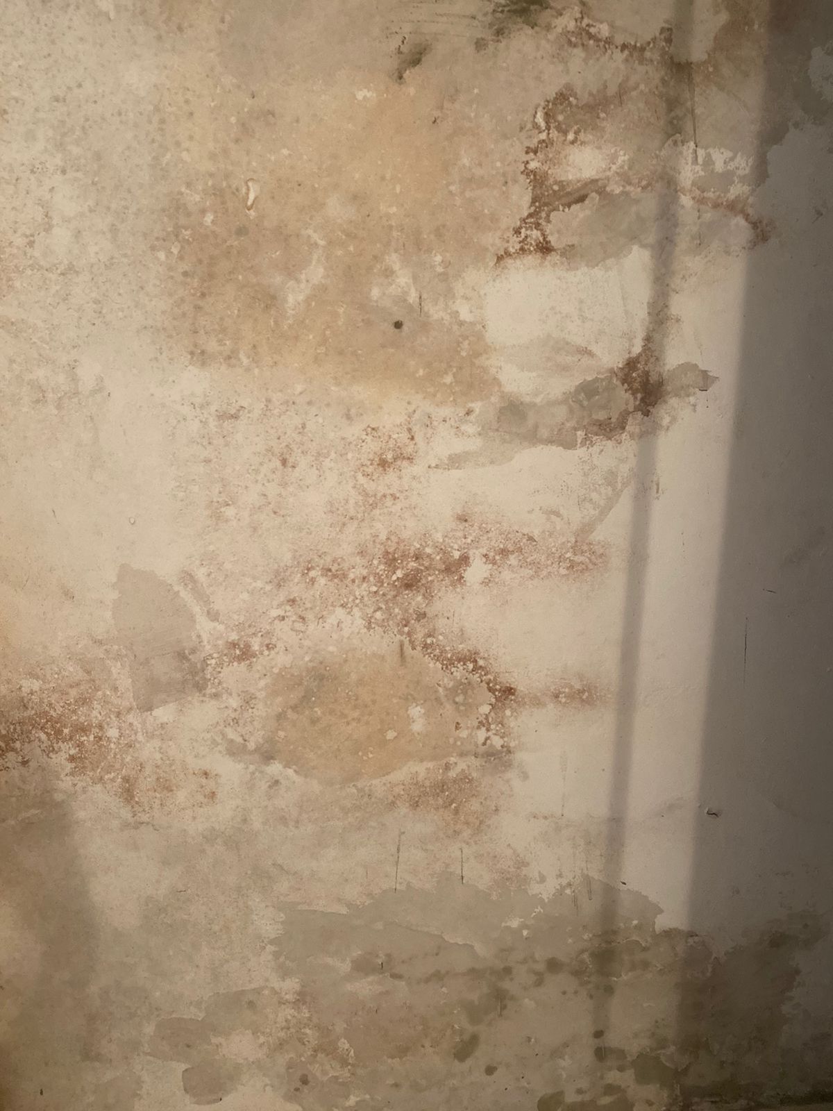 [FOTOS] La Casa de Luz Stella está “sumergida por el agua”: nueve años de lucha en Medellín