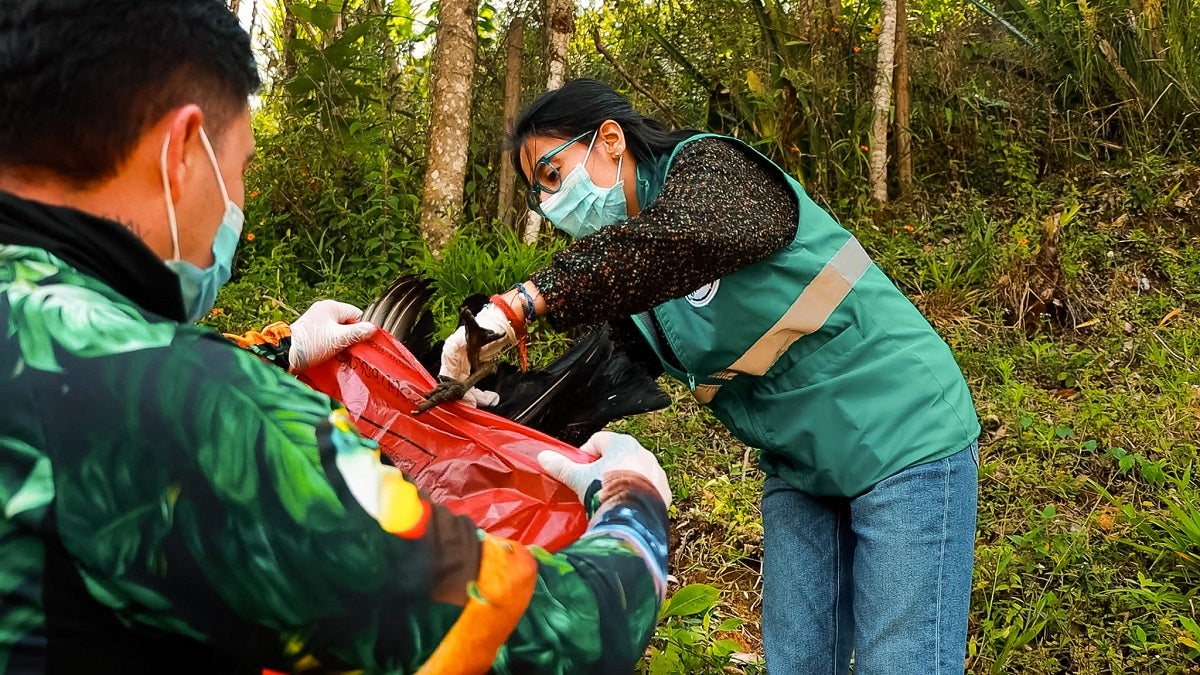 Cornare confirma envenenamiento para el caso de muerte masiva de gallinazos en Guarne