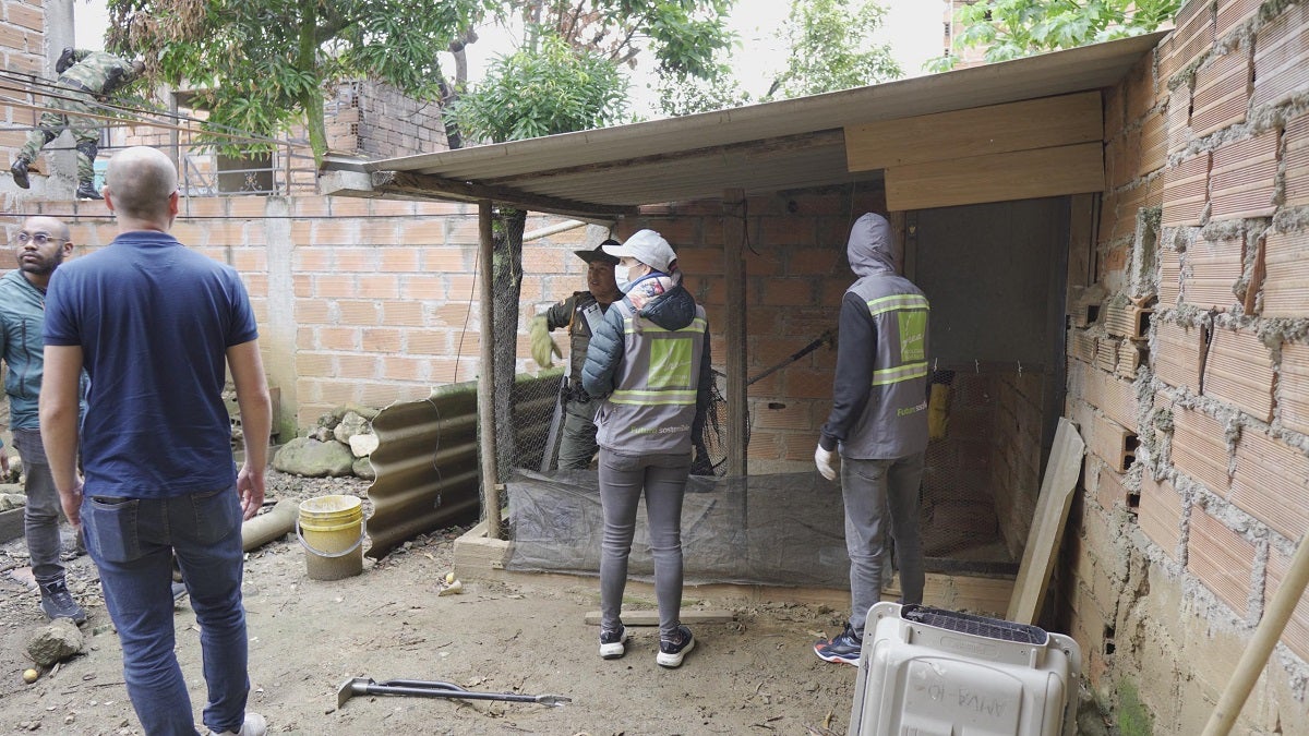 Rescatan ocelote en Antioquia