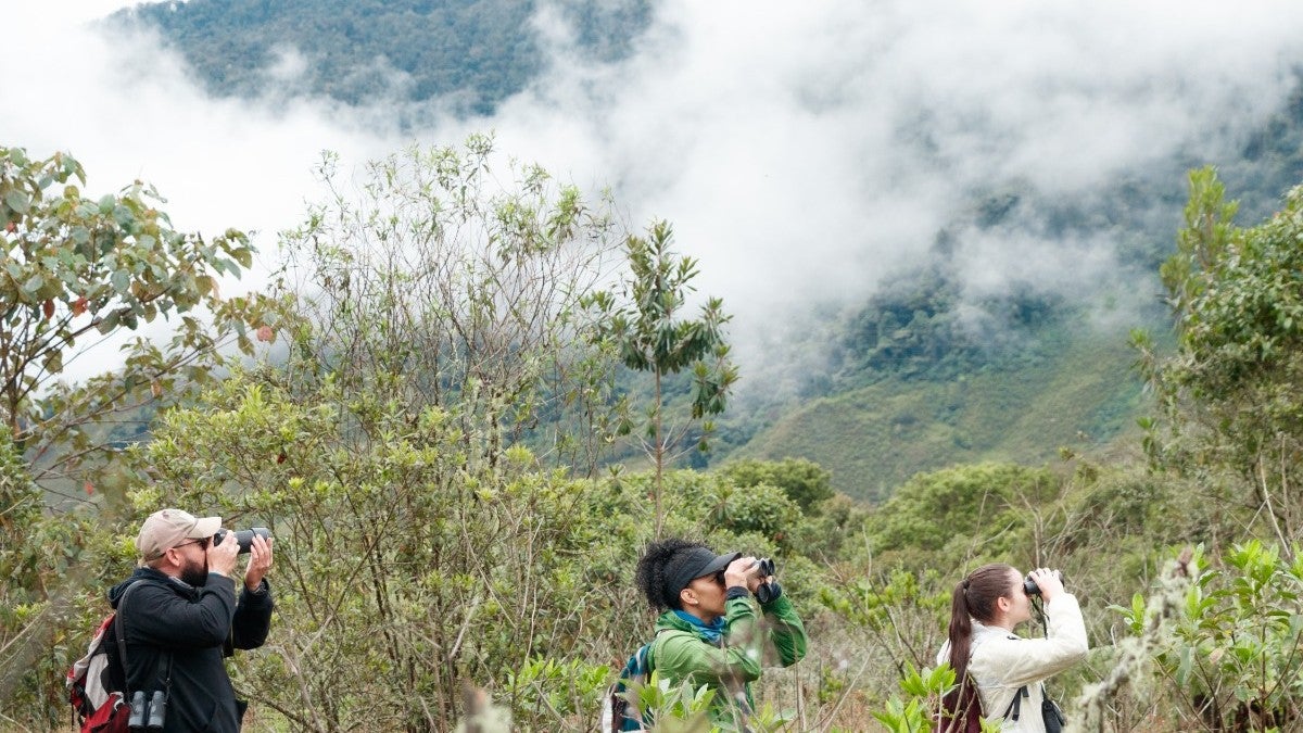 Proyecto Caminando entre las nubes para apoyar la flora amenazadaondo Europeo de Conservación