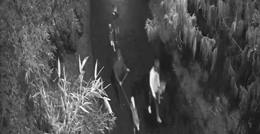 Indignación por el abandono de tres perros en la puerta de un Centro de Bienestar Animal de Rionegro