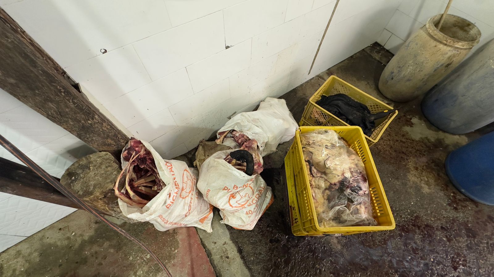 Descubren matadero clandestino que mezclaba carne rancia con químicos en Copacabana