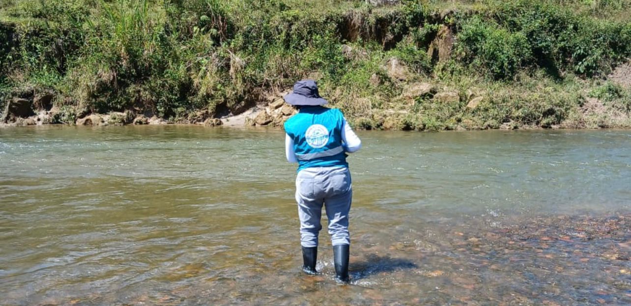 Investigan extraña muerte de peces