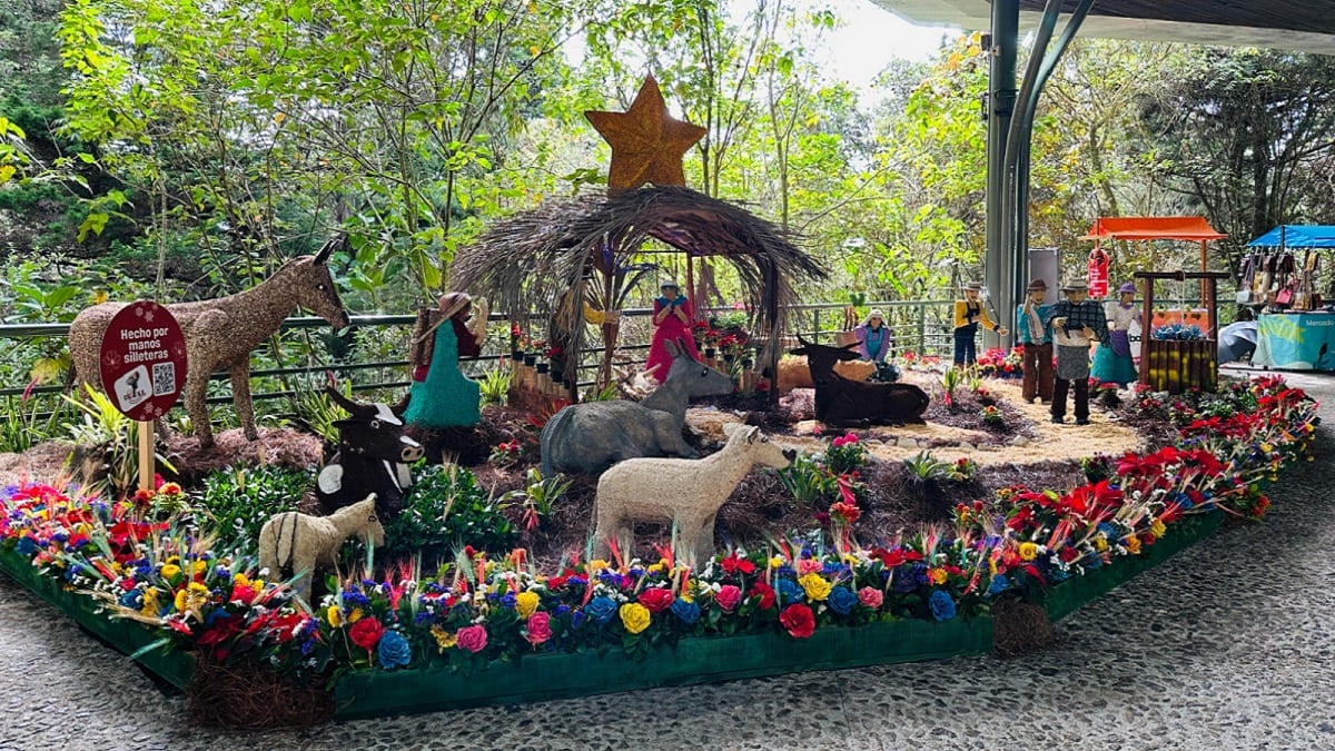 El Parque Arví vive una “Navidad en Flores”