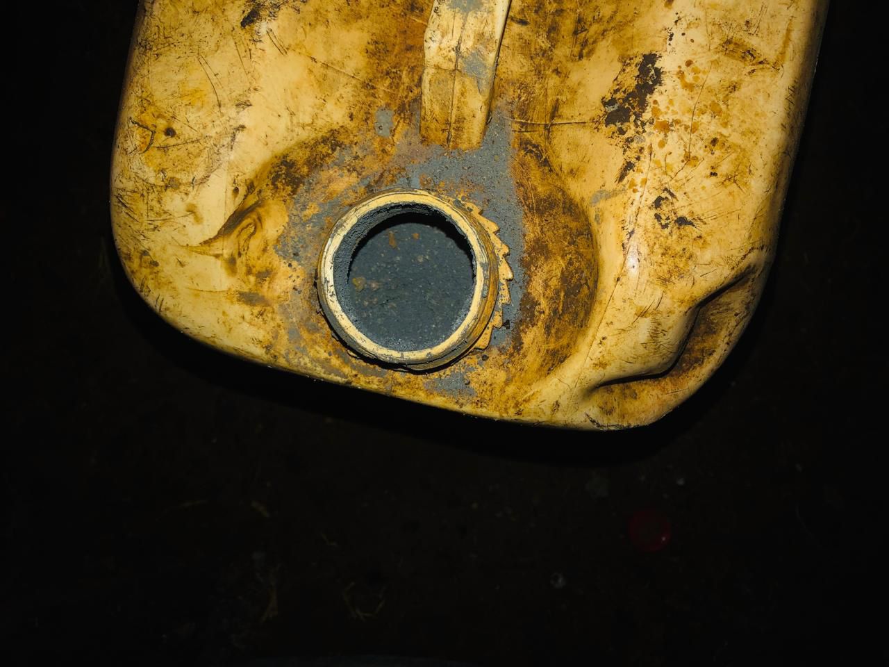 Arsenal Bagre Dic5 2024