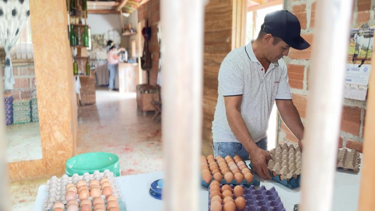 400 personas víctimas del conflicto armado retornaron a sus hogares en 2024. La Alcaldía de Medellín acompañó esos procesos