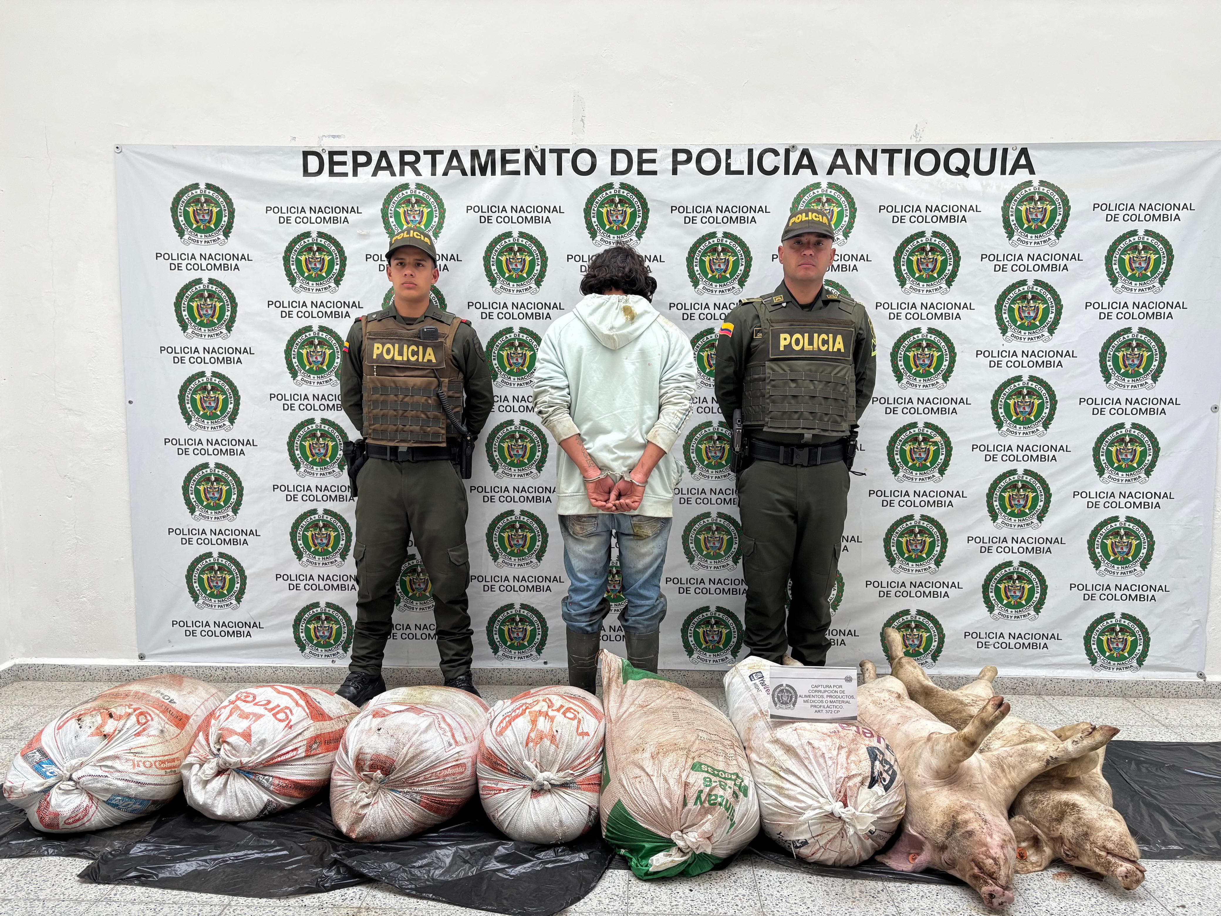 Incautaron más de 400 kilos de carne en mal estado en zona rural de Entrerríos